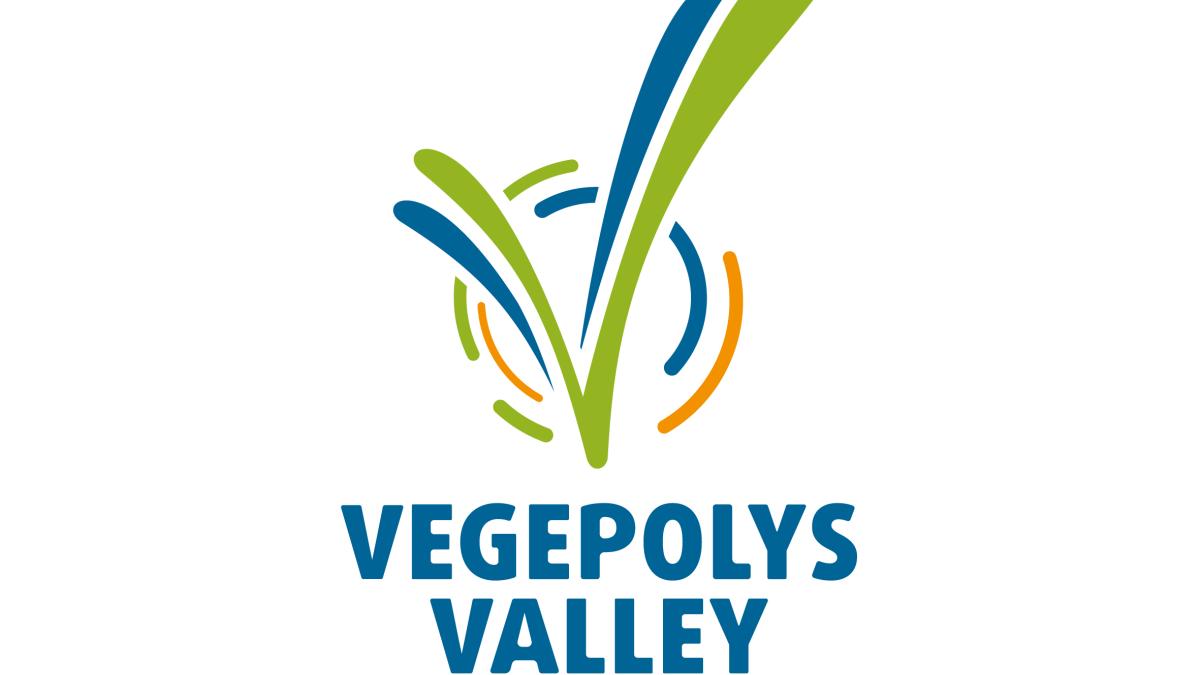 pole-vegepolys-valley-logo